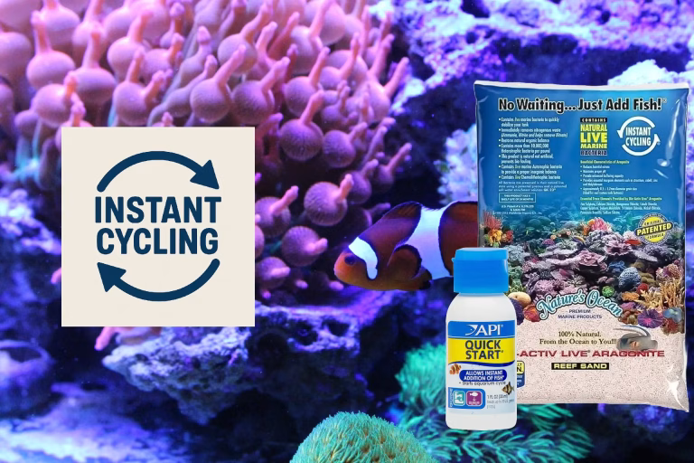We are talking about marine aquarium instantly cycling products.